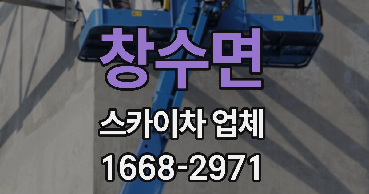 창수면 스카이차 업체