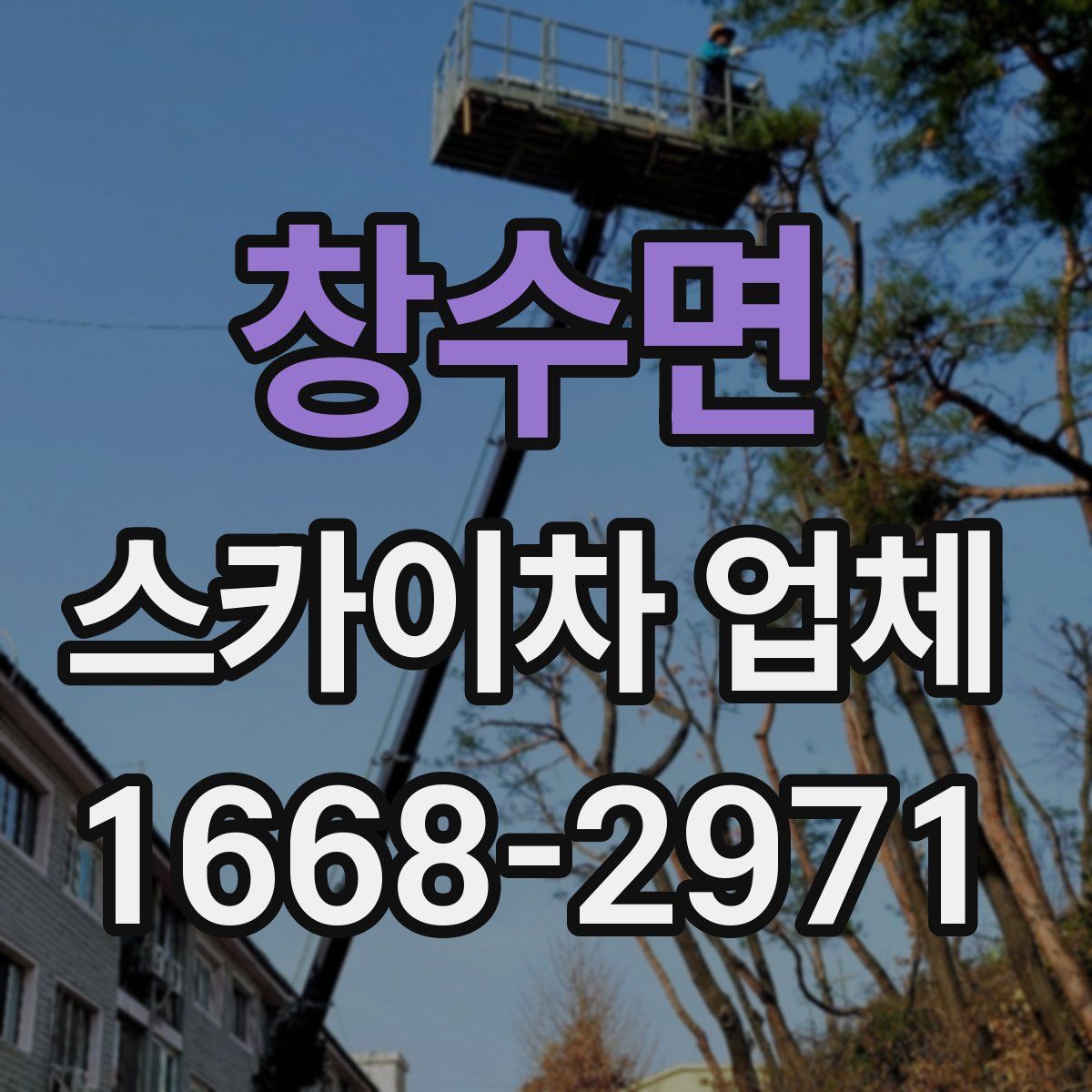 창수면 스카이차 업체