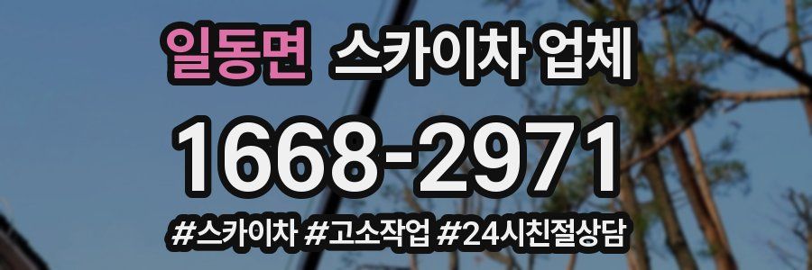 일동면 스카이차 업체