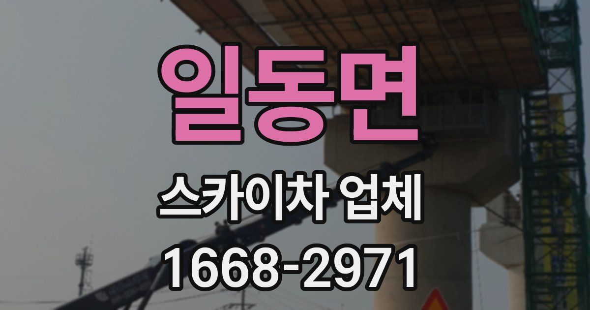일동면 스카이차 업체