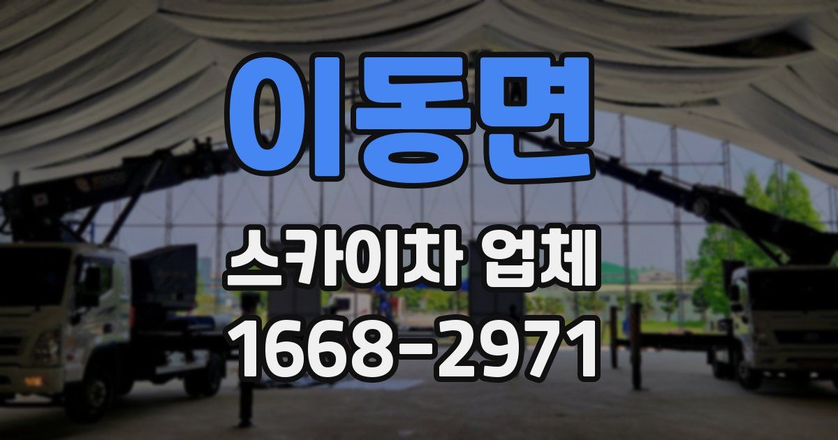 이동면 스카이차 업체
