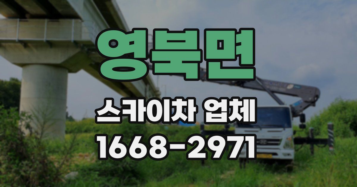 영북면 스카이차 업체