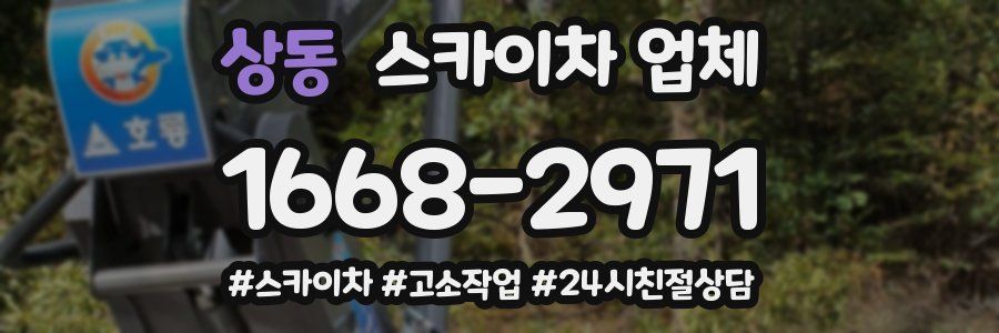 상동 스카이차 업체