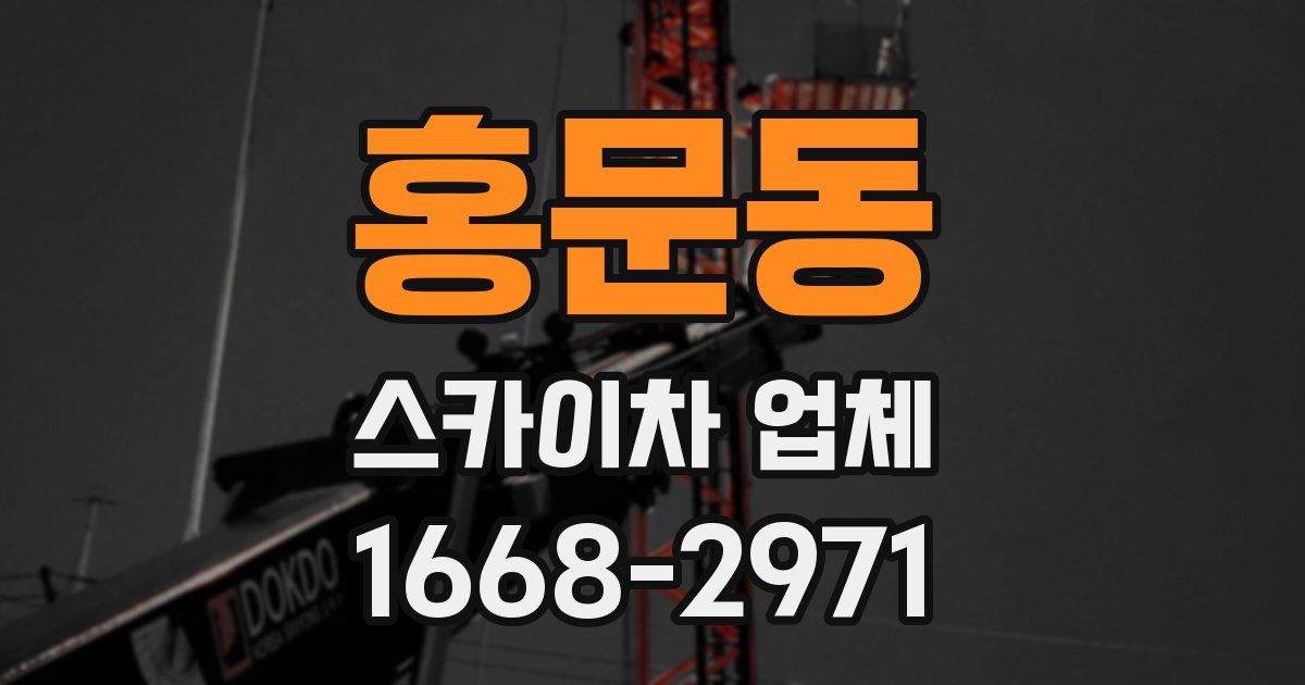 홍문동 스카이차 업체