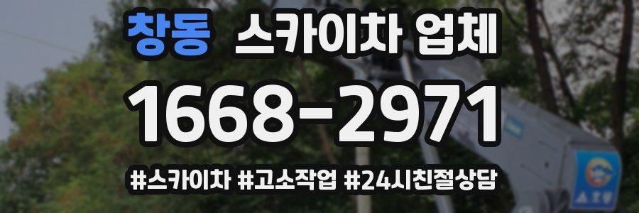 창동 스카이차 업체