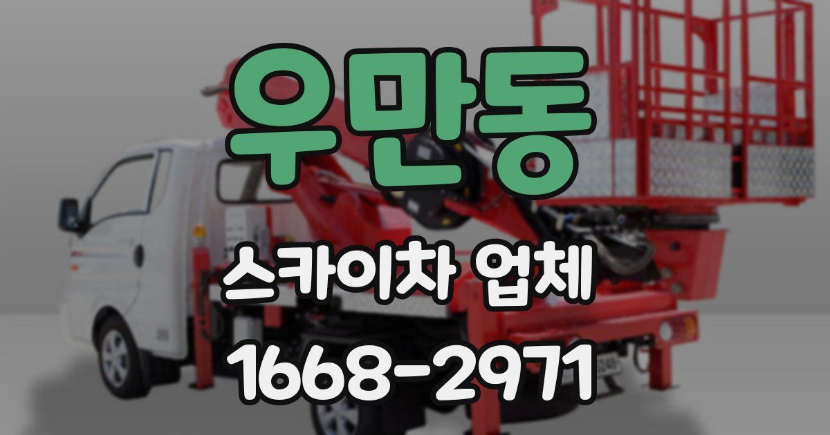 우만동 스카이차 업체