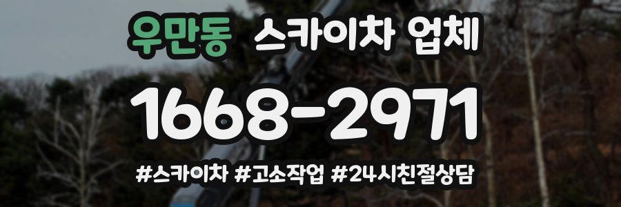 우만동 스카이차 업체