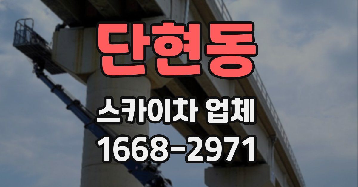 단현동 스카이차 업체