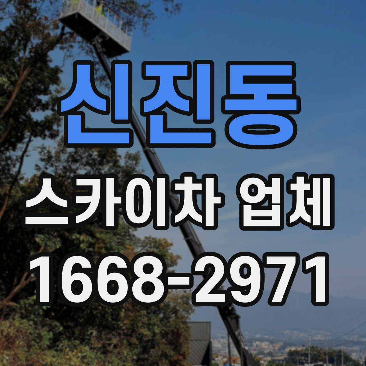 신진동 스카이차 업체