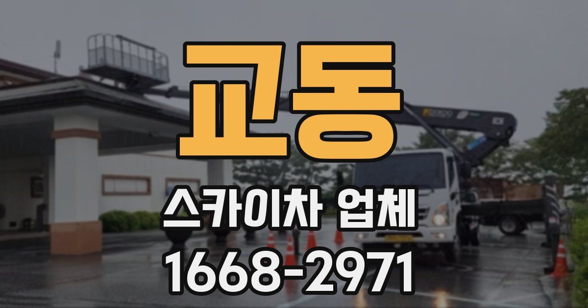 교동 스카이차 업체