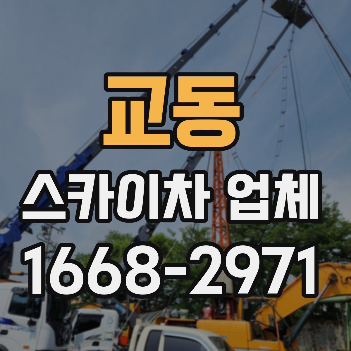 교동 스카이차 업체