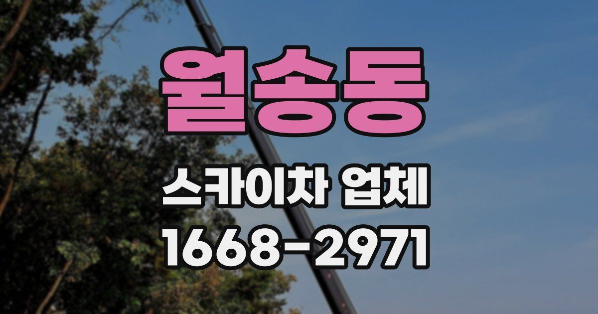 월송동 스카이차 업체