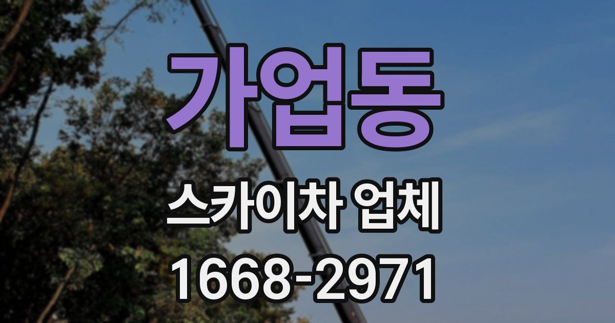 가업동 스카이차 업체