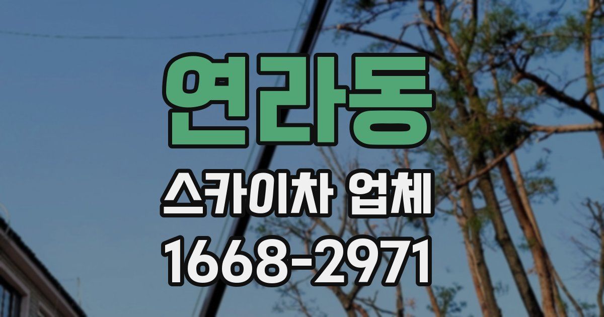 연라동 스카이차 업체