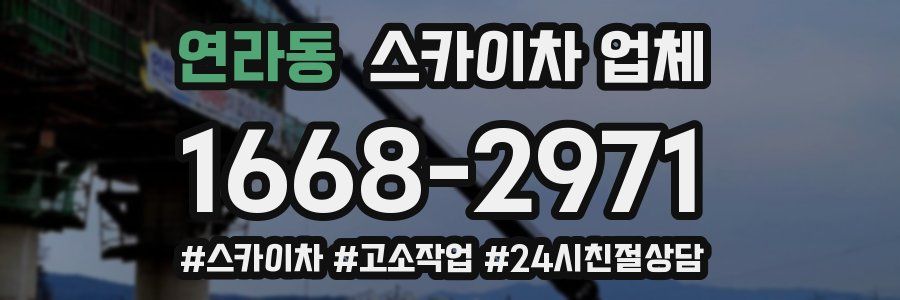 연라동 스카이차 업체