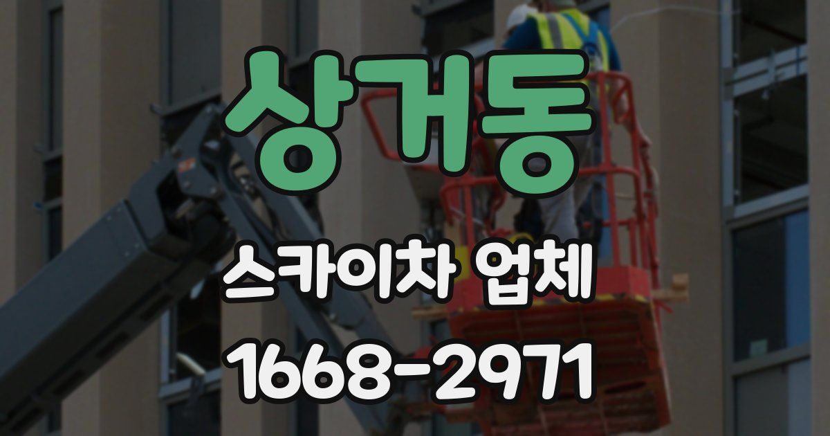 상거동 스카이차 업체