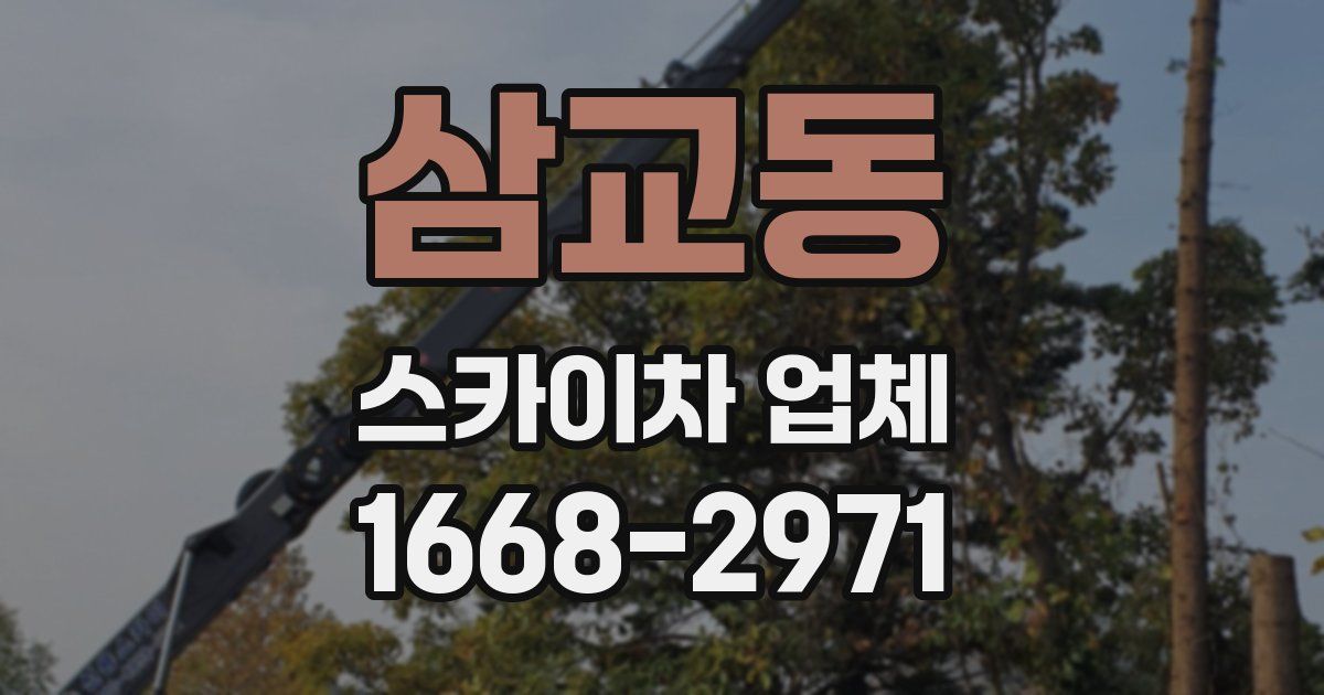삼교동 스카이차 업체