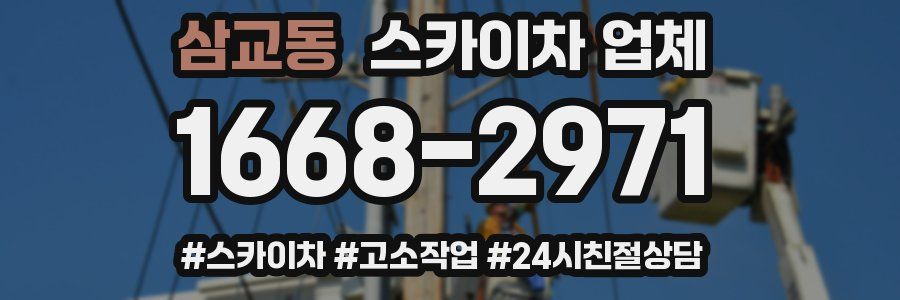 삼교동 스카이차 업체