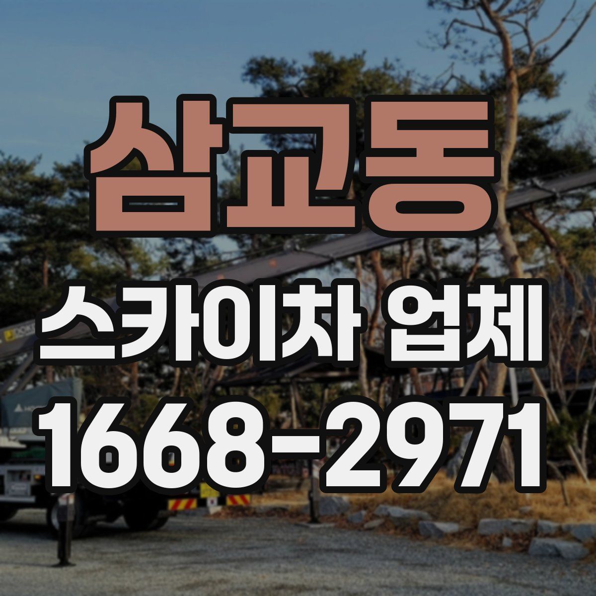 삼교동 스카이차 업체