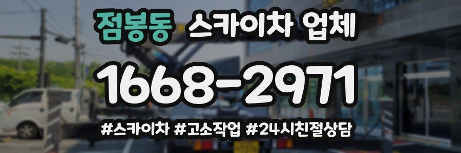점봉동 스카이차 업체