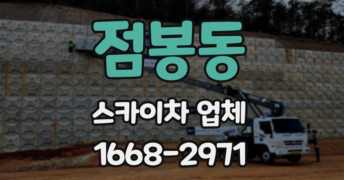 점봉동 스카이차 업체