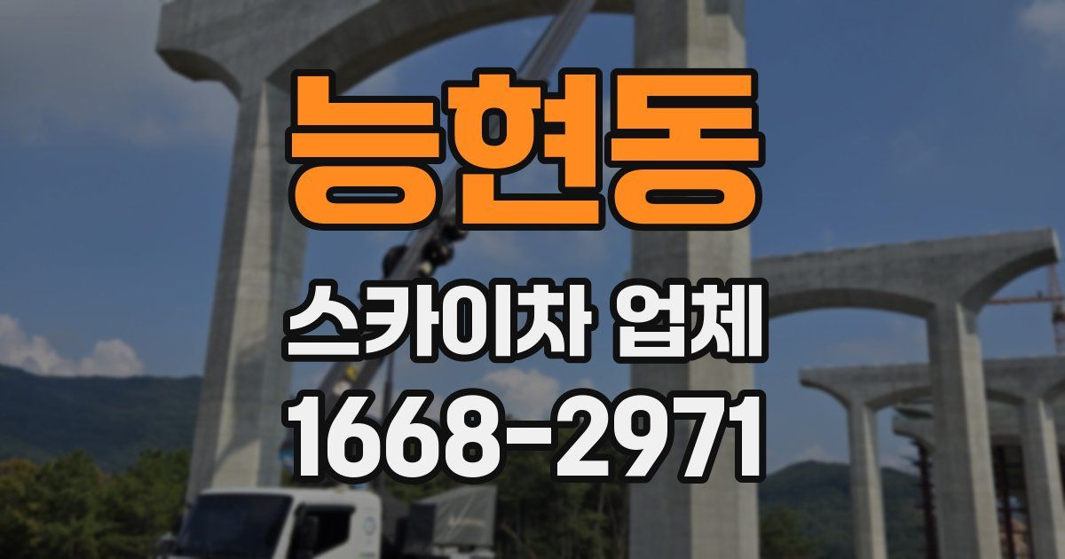 능현동 스카이차 업체