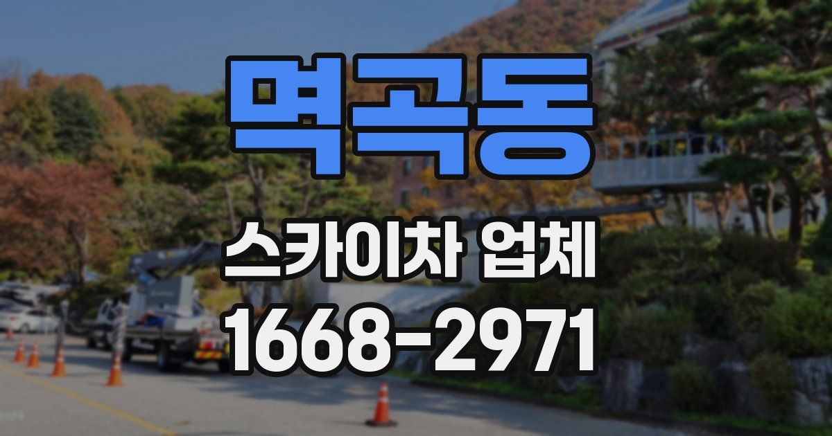 멱곡동 스카이차 업체
