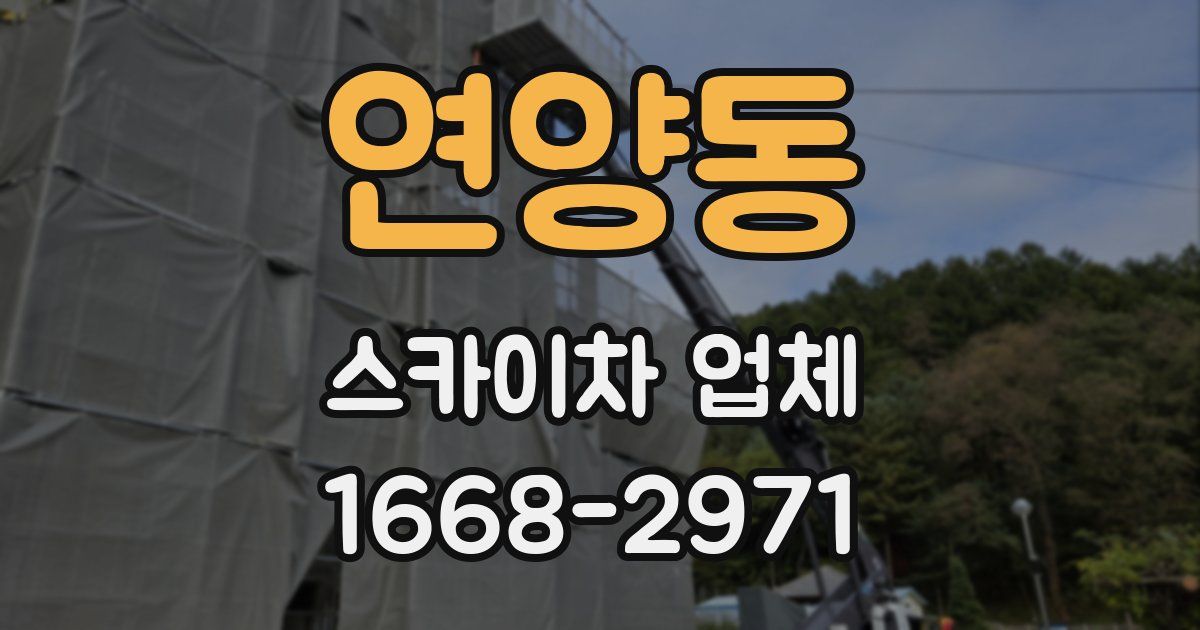연양동 스카이차 업체