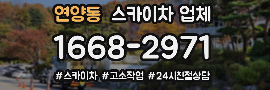 연양동 스카이차 업체