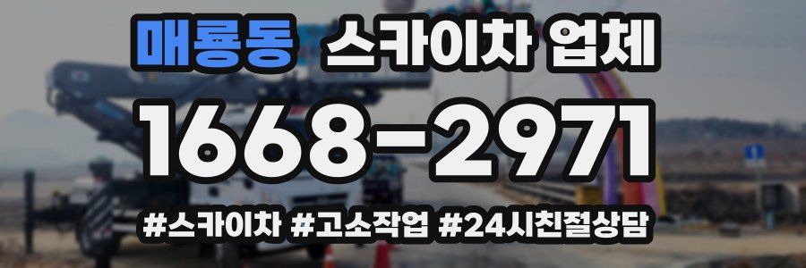 매룡동 스카이차 업체
