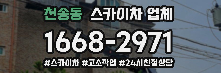 천송동 스카이차 업체