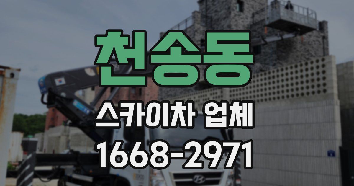 천송동 스카이차 업체