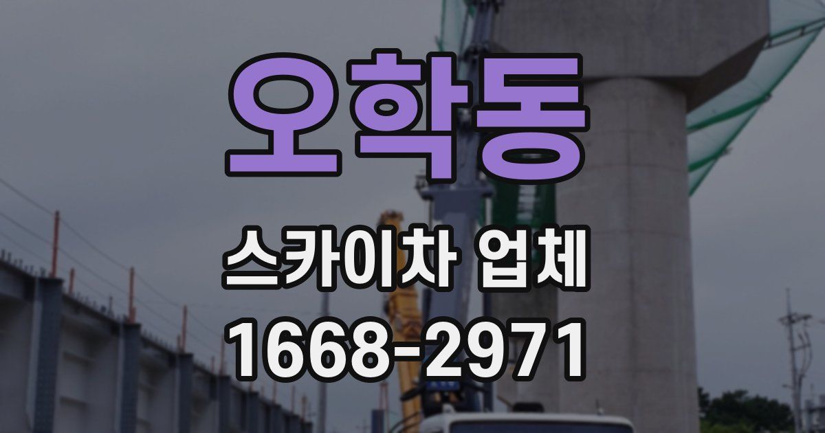 오학동 스카이차 업체