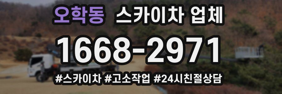 오학동 스카이차 업체