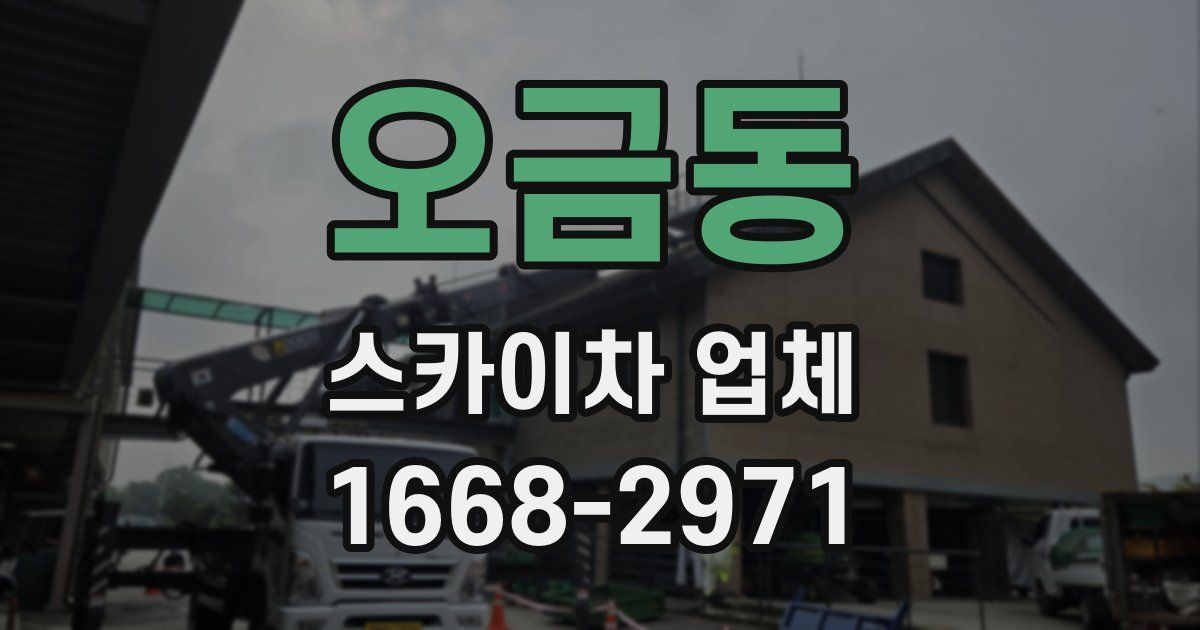 오금동 스카이차 업체
