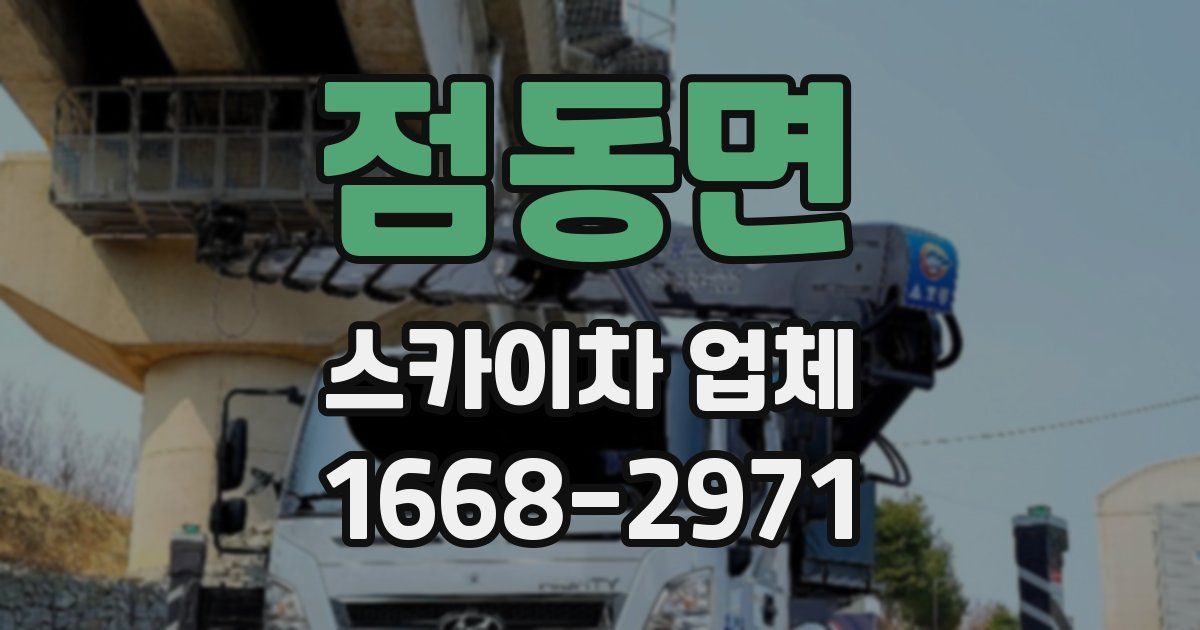 점동면 스카이차 업체