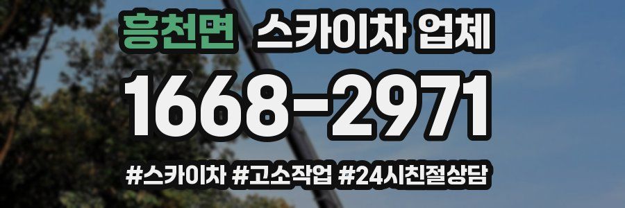 흥천면 스카이차 업체