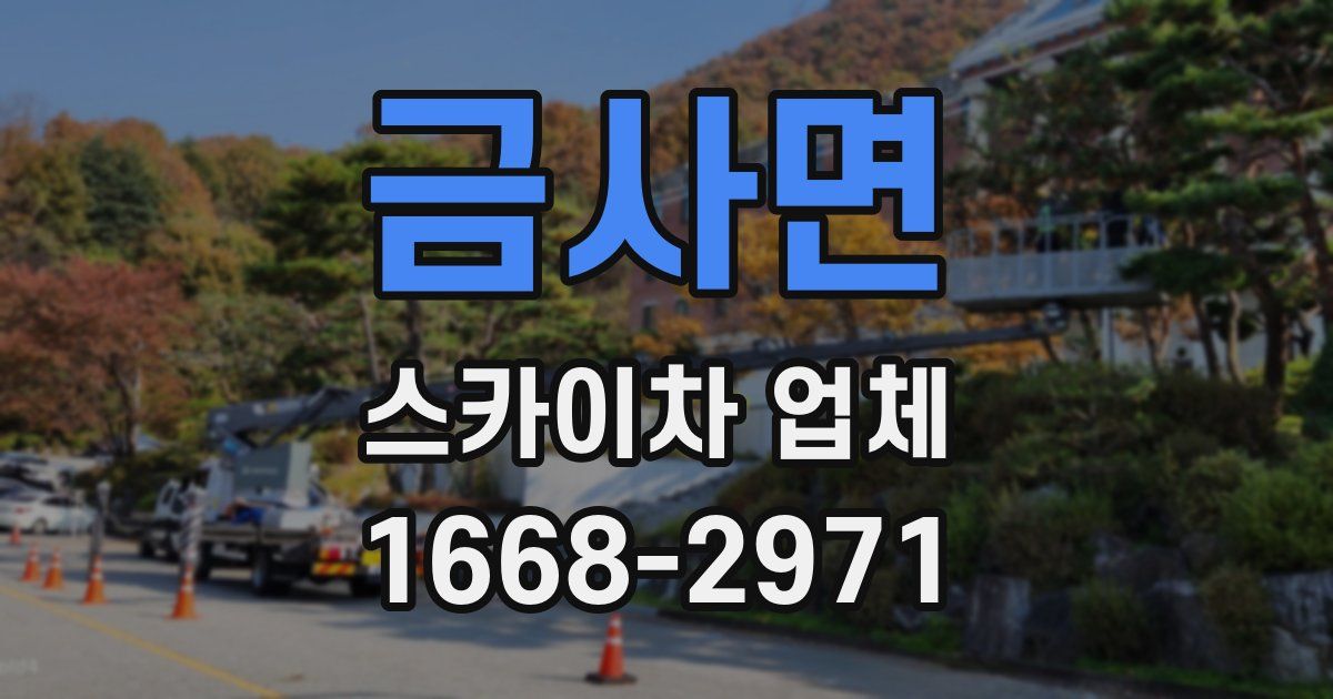 금사면 스카이차 업체