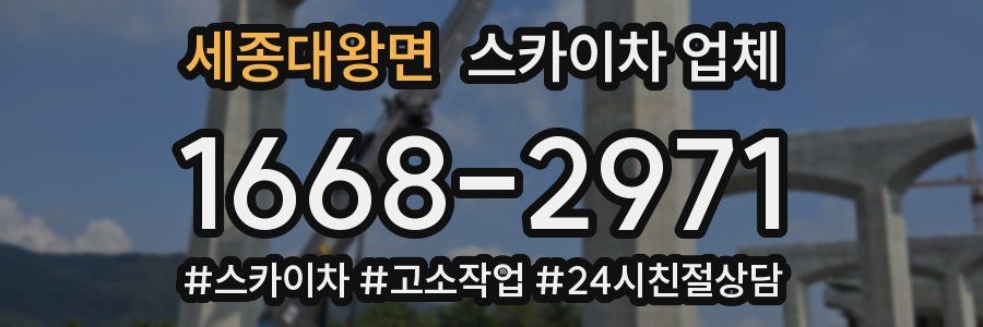 세종대왕면 스카이차 업체
