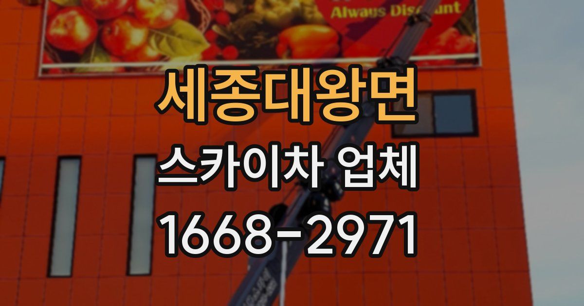 세종대왕면 스카이차 업체
