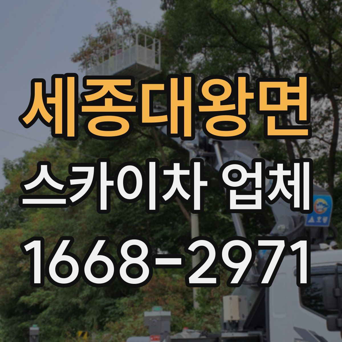 세종대왕면 스카이차 업체
