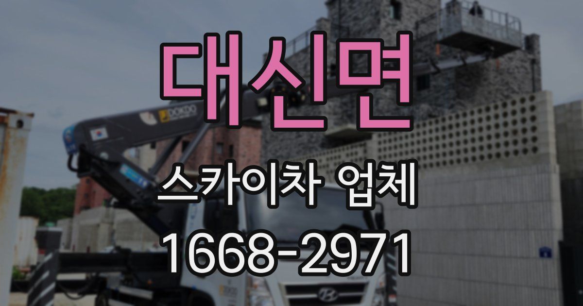 대신면 스카이차 업체