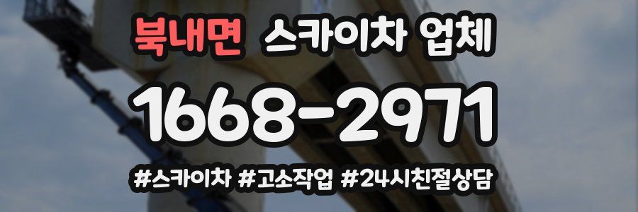 북내면 스카이차 업체