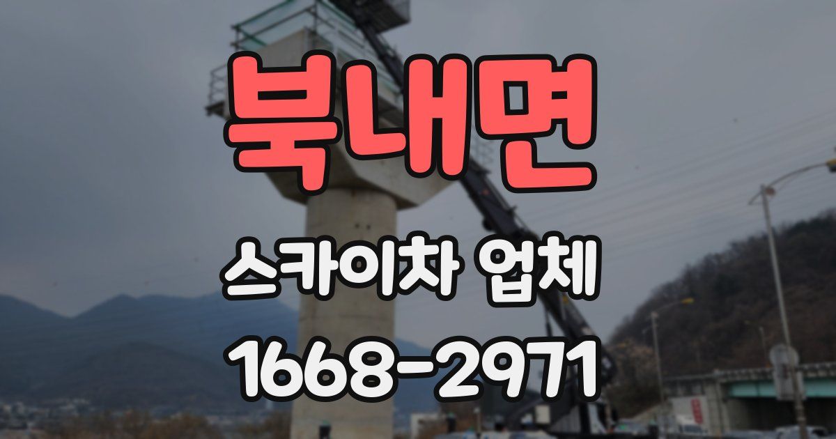 북내면 스카이차 업체