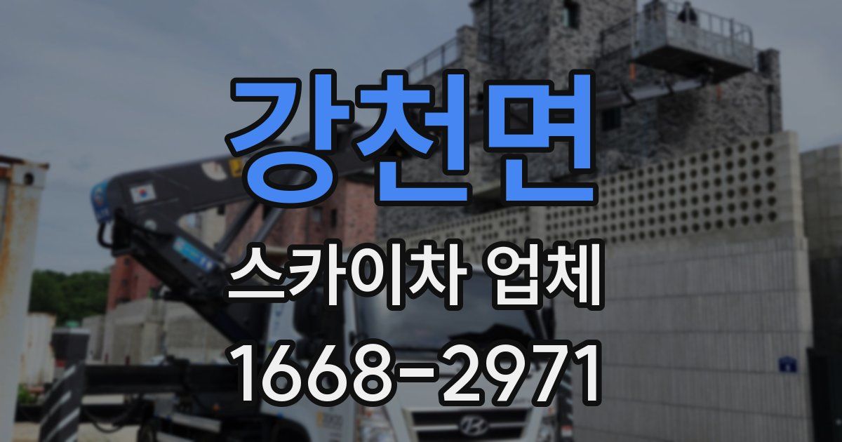 강천면 스카이차 업체