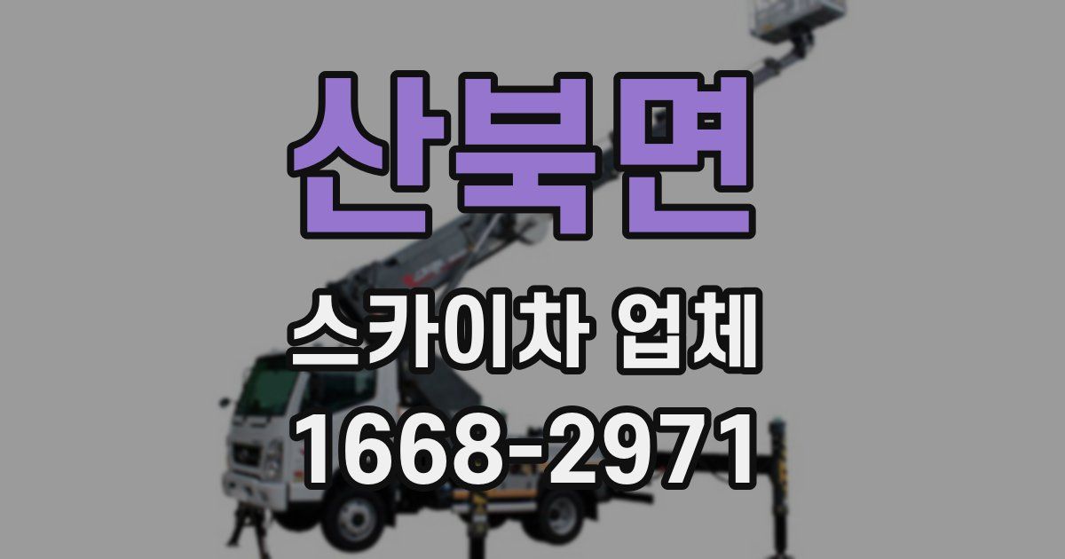 산북면 스카이차 업체