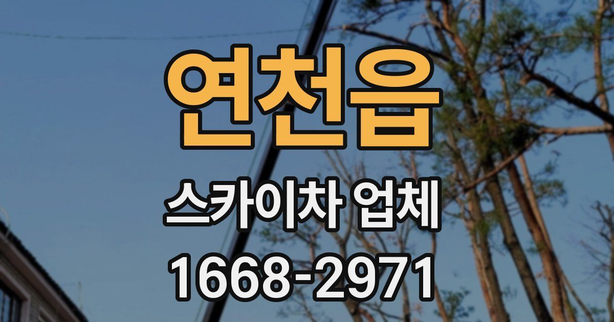 연천읍 스카이차 업체
