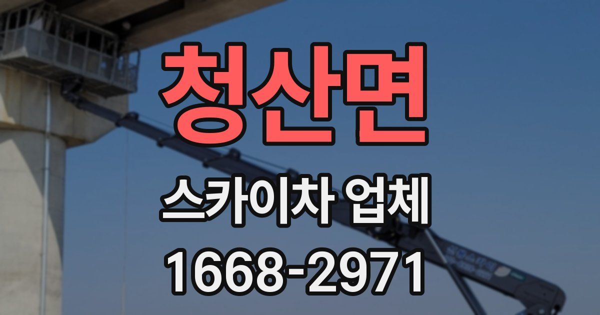 청산면 스카이차 업체