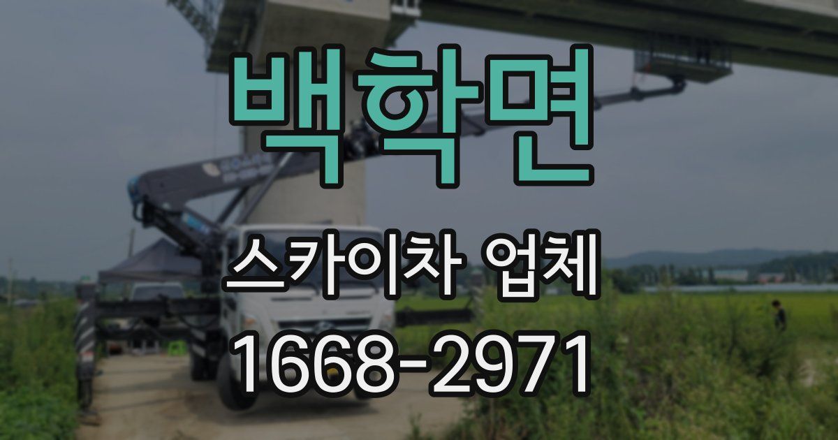 백학면 스카이차 업체