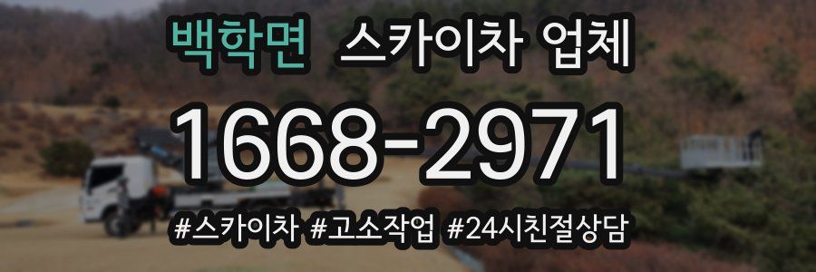백학면 스카이차 업체